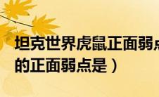 坦克世界虎鼠正面弱点在哪里（坦克世界E75的正面弱点是）