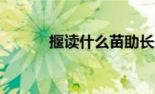 揠读什么苗助长（什么苗助长）