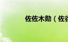 佐佐木勋（佐谷秀美的简介）