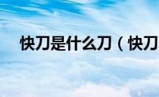 快刀是什么刀（快刀削水果中文版简介）