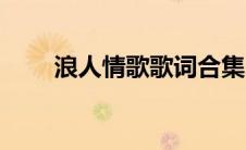 浪人情歌歌词合集（浪人情歌歌词）
