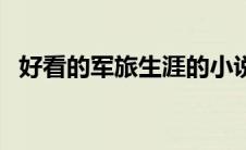 好看的军旅生涯的小说（军旅生涯小说名）