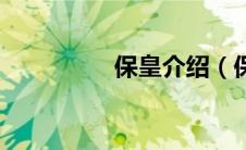 保皇介绍（保皇党简介）