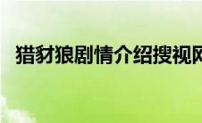 猎豺狼剧情介绍搜视网（猎豺狼剧情介绍）