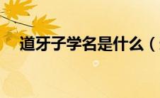 道牙子学名是什么（道牙子是什么意思）