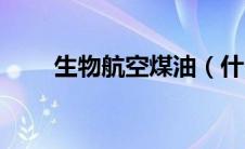 生物航空煤油（什么是生物航煤呀）