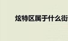 炫特区属于什么街道（炫特区简介）