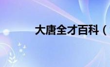 大唐全才百科（大唐全才简介）