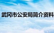 武冈市公安局简介资料（武冈市公安局简介）