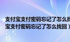 支付宝支付密码忘记了怎么找回手机号码也被注销了（支付宝支付密码忘记了怎么找回）