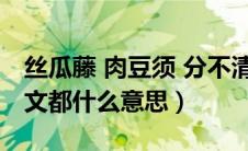 丝瓜藤 肉豆须 分不清（丝瓜藤与肉豆须文言文都什么意思）