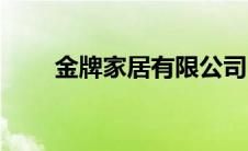 金牌家居有限公司（金牌家丁简介）
