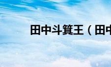 田中斗箕王（田中斗笠王是谁啊）