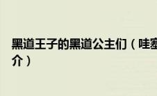 黑道王子的黑道公主们（哇塞那是白道王子们的黑道公主简介）
