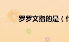 罗罗文指的是（什么是罗文精神）