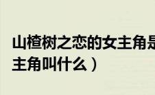 山楂树之恋的女主角是谁（《山楂树之恋》女主角叫什么）