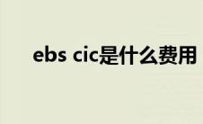 ebs cic是什么费用（EBS是什么费用）
