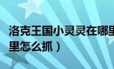 洛克王国小灵灵在哪里（洛克王国小玲鹿在哪里怎么抓）