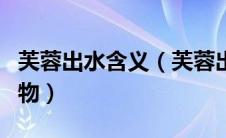 芙蓉出水含义（芙蓉出水打一十二生肖中的动物）