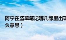 阿宁在盗墓笔记哪几部里出现（马思纯盗墓笔记阿宁特训什么意思）