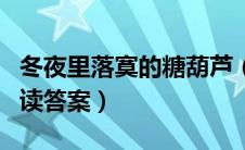冬夜里落寞的糖葫芦（冬夜里落寞的糖葫芦阅读答案）