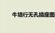 牛培行无孔插座图片（牛培行简介）