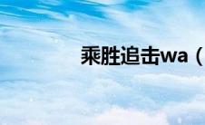 乘胜追击wa（乘胜追击宏）