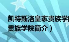 凯特斯洛皇家贵族学院 小说（凯特斯洛皇家贵族学院简介）