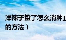 洋辣子蛰了怎么消肿止痒（洋辣子蛰了最有效的方法）