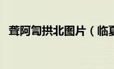 聋阿訇拱北图片（临夏聋阿訇是什么门宦）