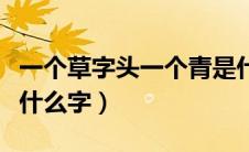 一个草字头一个青是什么字（草字头一个青是什么字）