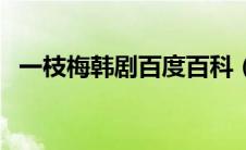 一枝梅韩剧百度百科（韩剧一枝梅演员表）