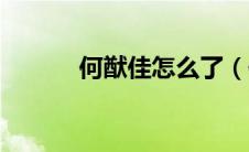 何猷佳怎么了（何猷佳存在吗）