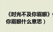 《时光不及你眉眼》作者:路莫遥（时光不及你眉眼什么意思）