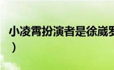 小凌霄扮演者是徐崴罗（小凌霄的扮演者是谁）