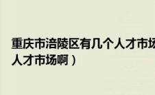 重庆市涪陵区有几个人才市场啊招聘（重庆市涪陵区有几个人才市场啊）