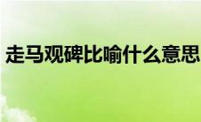 走马观碑比喻什么意思（走马观碑比喻什么）