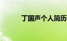 丁国声个人简历（丁国年简介）