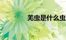 羌虫是什么虫（羌虫简介）