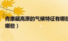 青康藏高原的气候特征有哪些呢（青康藏高原的气候特征有哪些）