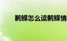 鹣鲽怎么读鹣鲽情深（鹣鲽怎么读）