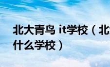 北大青鸟 it学校（北大青鸟APTECH是一个什么学校）