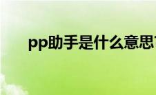 pp助手是什么意思?（pt助手是什么）