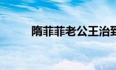 隋菲菲老公王治郅（隋菲菲老公）