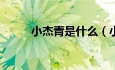 小杰青是什么（小杰青什么水平）