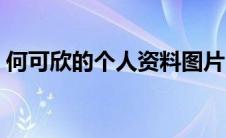 何可欣的个人资料图片（何可欣的个人资料）