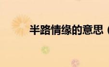 半路情缘的意思（半路情缘简介）