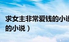 求女主非常爱钱的小说推荐（求女主非常爱钱的小说）