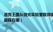 洛克王国从微光实验室取得魔法石（洛克王国微光实验室的蘑菇在哪）