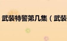 武装特警第几集（武装特警之反黑风暴简介）